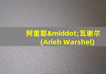 阿里耶·瓦谢尔(Arieh Warshel)